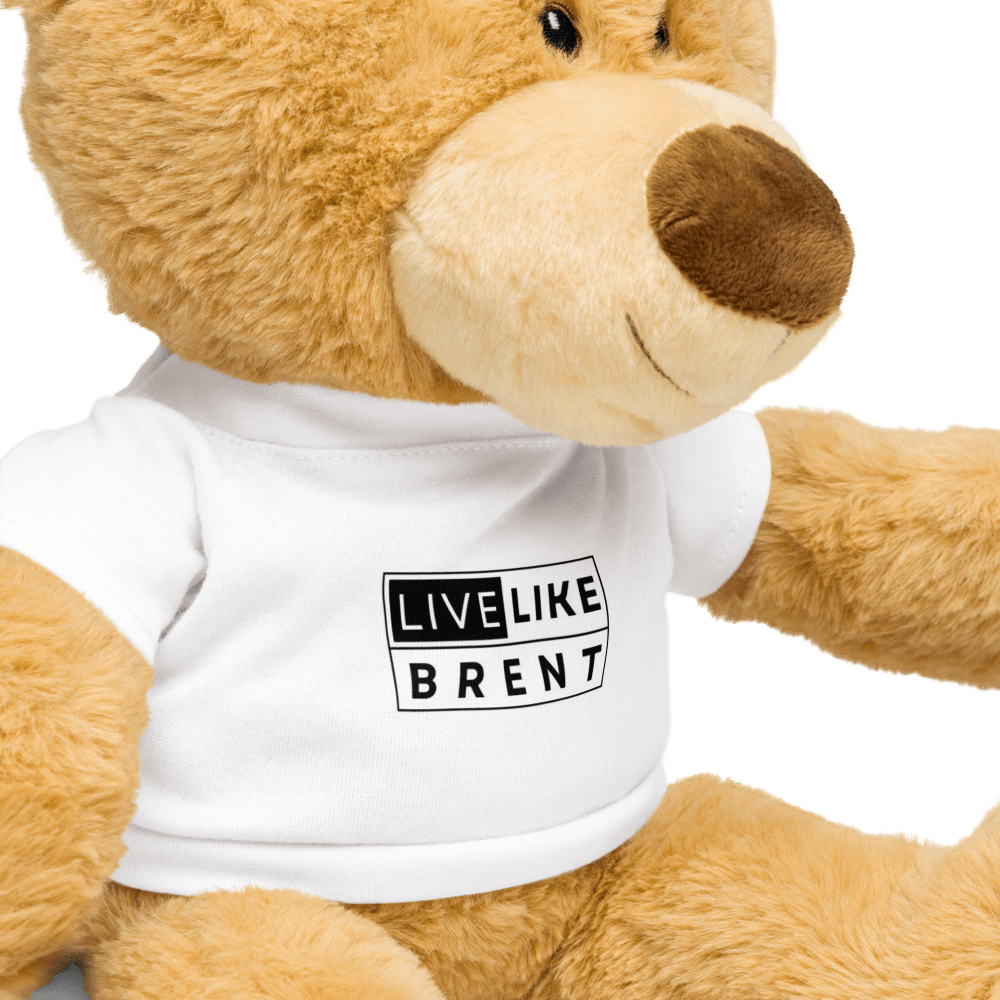 Brently the Comfort Cub showing craftsmanship details